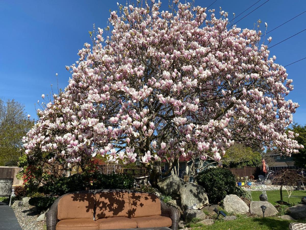 Xanadu 世外桃源 Tsawwassen Exterior photo